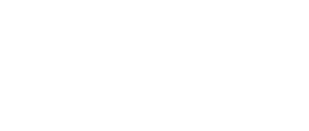 Speedlo Logo